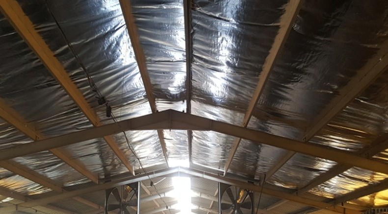 Product Details Image